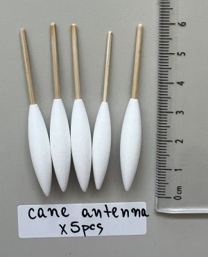 formica delle canne x 5 pezzi