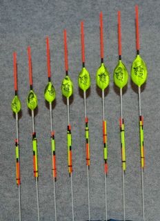 RF119